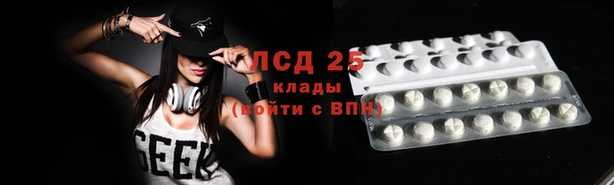 прущие грибы Абдулино